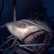 Image for article titled PlayStation VR: The Kotaku Review
